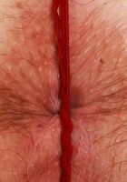 ATK Natural & Hairy: Adora Bell (Adora Bell Lingerie Hairy Pussy Spreads)