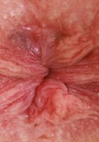 ATK Petites: Adrianna Jade (Adrianna Jade Dress Outdoors)