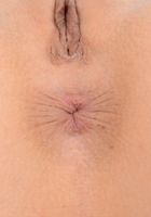 ATK Petites: Aiden Ashley (Aiden Ashley Poses By the Pool For You)