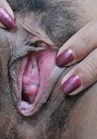 ATK Exotics: Akira (Akira in asians)