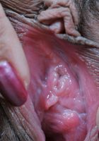 ATK Exotics: Akira (Akira in asians)