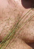 ATK Archives: Alena (Alena in nudism)