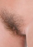 Alex from ATK Archives