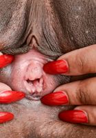 ATK Exotics: Alexis Avery (Alexis Avery in black women)