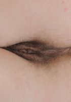 ATK Exotics: Alicia Silver (Alicia Silver in latinas)