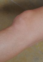 ATK Exotics: Alicia Silver (Alicia Silver in latinas)