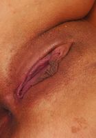 ATK Exotics: Aliana (Aliana in thick women)