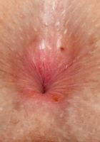 ATK Galleria: Alison Rey (Allison Rey Daisy Dukes Spreads)