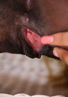 ATK Exotics: Aliya (Aliya Gets Undressed For You)