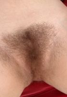 ATK Natural & Hairy: Alice (Alice in scary hairy)