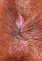 ATK Petites: Alona Bloom (Alona Bloom Gets Naked For All To See)