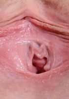 ATK Premium: Alyce Anderson (Alyce Anderson in lingerie)