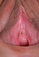 ATK Exotics: Amara Romani (Amara Romani is in nothing but her underwear and some sandals)