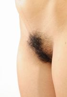 ATK Exotics: Ambar (Ambar in amateur)