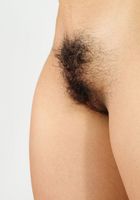 ATK Exotics: Ambar (Ambar in amateur)