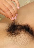 ATK Exotics: Ambar (Ambar in amateur)