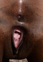 ATK Exotics: Monique Symone (Ebony Monique spreads her ass)