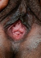 ATK Exotics: Monique Symone (Monique Symone in black women)