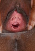 ATK Exotics: Monique Symone (Monique Symone loves it when you watch)