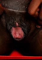 ATK Exotics: Ana Foxxx (Ana Foxxx in black women)