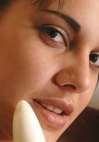 ATK Exotics: Ander (Ander in toys)