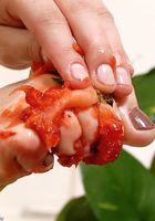 ATK Exotics: Ander (Ander in footfetish)