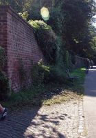 ATK Archives: Andy (Andy loves to be naked in public settings)