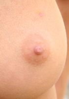 ATK Archives: Angelica (Angelica in)