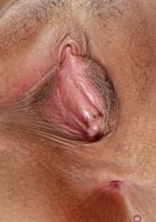 ATK Exotics: Angel Lover (Angel Lover in latinas)