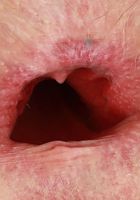 ATK Petites: Annie Archer (Annie Archer Spreads Outdoors)