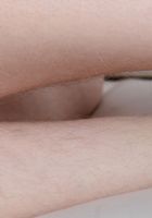 ATK Natural & Hairy: Apricot Pitts (Apricot Pitts in young and hairy)