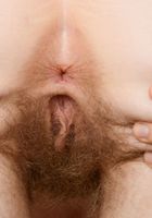 ATK Natural & Hairy: Apricot Pitts (Apricot Pitts in young and hairy)