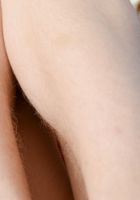 Apricot Pitts in young and hairy, Apricot Pitts (apr024) ATK Natural & Hairy: Apricot Pitts (Apricot Pitts in young and hairy)