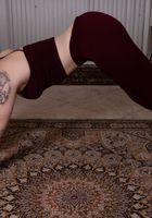 ATK Natural & Hairy: Apricot Pitts (Apricot Pitts in young and hairy)