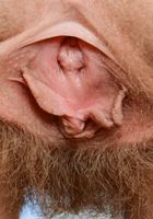 ATK Natural & Hairy: Apricot Pitts (Apricot Pitts in young and hairy)