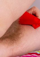 Apricot Pitts from ATK Natural & Hairy