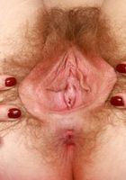 ATK Natural & Hairy: Apricot Pitts (Apricot Pitts Outdoors Spreading)