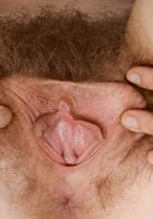 ATK Natural & Hairy: Apricot Pitts (Apricot Pitts in young and hairy)