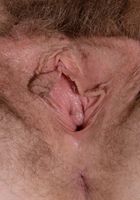 Apricot Pitts in young and hairy, Apricot Pitts (apr024) ATK Natural & Hairy: Apricot Pitts (Apricot Pitts in young and hairy)