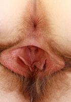 ATK Natural & Hairy: Apricot Pitts (Apricot Pitts Flaunting Young Fur)