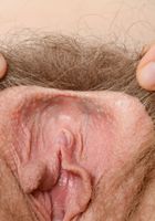 ATK Natural & Hairy: Apricot Pitts (Apricot Pitts in young and hairy)