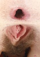 ATK Natural & Hairy: April Dawn (April Dawn in young and hairy)