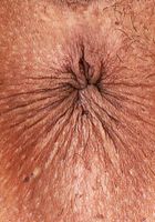 ATK Exotics: Apryl Rein (Apryl Rein Gapes her Pussy)