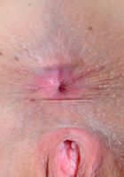 ATK Galleria: Ariel Grace (Ariel gives up some hot spreads and gapes)