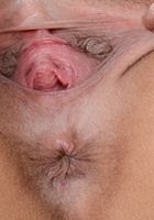 ATK Exotics: Aria Skye (Aria Skye in asians)