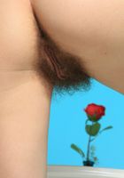 Arian from ATK Natural & Hairy