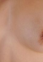 ATK Archives: Artemisia (Hairy Artemisa spreads her bush)