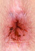 Ashley Lane from ATK Galleria