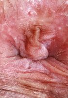 Asteria Jade from ATK Galleria