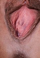 ATK Exotics: Aubree Ice (Aubree Ice in asians)